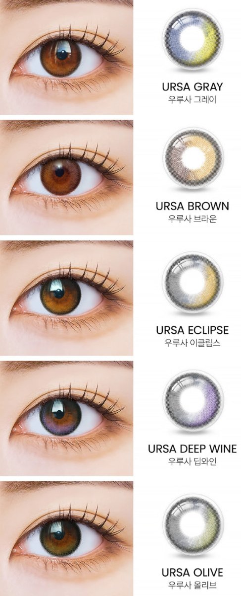 I - SHA Polaris Ursa Eclipse Brown