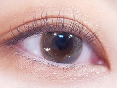 I - SHA Season Eye Fall Brown